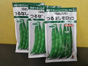 いんげん種　つるなしモロッコ　５０ml×3袋　未開封有効期限切れ