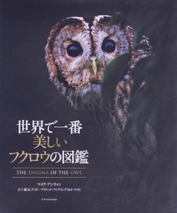 世界で一番美しいフクロウの図鑑/マイク・アンウィン(著者),五十嵐友子(訳者),デヴィッド・ティプリング