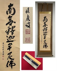 【千寿】大徳寺派 宝林寺 福本積應 六字名号 自筆 一行書 紙本 d920◆在銘 箱 茶掛 掛軸 掛物 茶道具 同梱可 条件有 100028784　