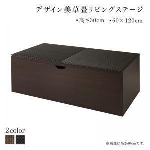 国産　収納付きデザイン美草畳リビングステージ 風凛 フーリン 畳ボックス収納 120×60cm ロータイプ ダークブラウン セピア