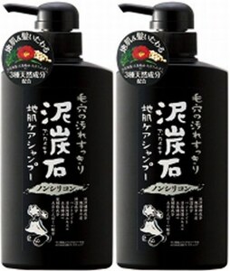 2本　泥炭石ノンシリコン 地肌ケアシャンプー 500mL　地肌と髪に自然な素の美しさを。炭の吸着力と潤い泥で、すこやか地肌&さらつや髪へ。