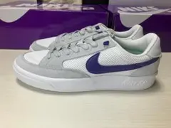 NIKE　SB AdversaryGrey frog Court purple