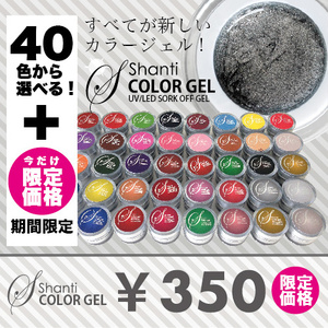 SHANTI GEL カラージェル5g 583：シルバー