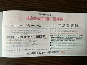 東急株式会社　株主優待共通ご招待券　Bunkamura ザ・ミュージアム　ル・シネマ渋谷宮下　五島美術館　2024年11月30日まで