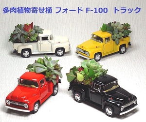 ★多肉カー 多肉植物寄せ植えミニカー フォード F-100 ピックアップトラック 受注製作 新品