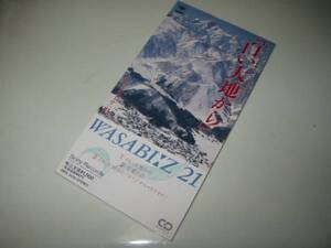 ★WASABI:Z21(わさびーず:21)【白い大地から】CDS・・・※1998年長野冬季オリンピック・イメージソング/卒業の日/白馬村立白馬北小