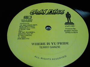 Terry ganzie/super black [think god a sleep] 12inch EX reggae レゲエ vintage ビンテージ roots ルーツ digital デジタル ジャマイカ