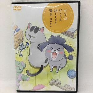 DVD『犬と猫どっちも飼ってると毎日たのしい 特典DVD』※動作確認済み/コミック第6巻「特装版」の特典DVD/松本ひで吉/金澤まい/　Ⅴ-1289