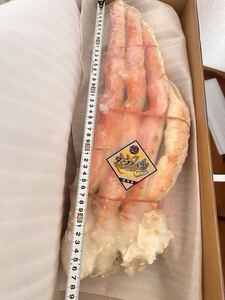 特大サイズ ボイルたらば蟹　8L (1肩 約1.8kg ) [数2]