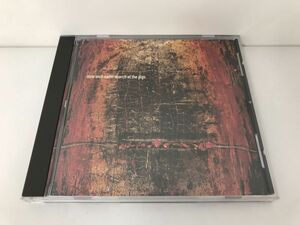 CD/nine inch nails: march of the pigs/nine inch nails/Interscope Records/INTDM-95938/【M001】