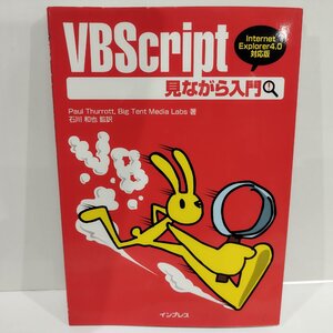 VBScript 見ながら入門 Internet Explorer4.0対応版　Paul Thurrott/Big Tent Media Labs/石川和也　インプレス　プログラミング【ac03r】