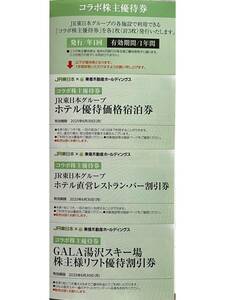 東急不動産　株主優待　JR東日本グループ ホテル優待価格宿泊券 ホテル直営レストラン・バー割引券 GALA湯沢スキー場リフト優待割引券