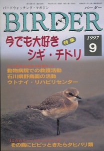 ■Birder バーダー 1997.9　［特集：今でも大好き　シギ・チドリ］