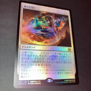 foil 魂の仕切り　セットブースター版　ギャザリング mtg 兄弟戦争