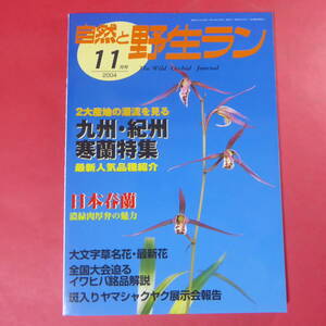 YN4-241219☆自然と野生ラン 2004年11月号 ※ 寒蘭 春蘭 大文字草 イワヒバ ヤマシャクヤク ※ 園芸JAPAN