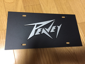 ピービー PEAVEY 金属パネル ロゴは立体