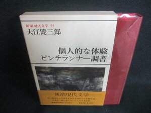 新潮現代文学55　大江健三郎　日焼け有/DDZF