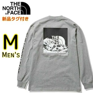 【新品・即決・送料無料】ノースフェイス ヨセミテ グレー M 長袖 ロンＴ スリーブグラフィックT THE NORTH FACE