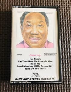 【レア】MUDDY WATERS / I