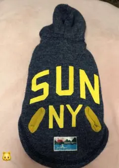 Sunny Sports