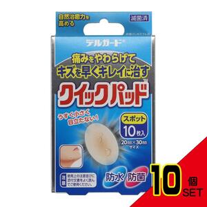 阿蘇製薬デルガードクイックパッドスポット10枚 × 10点