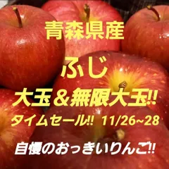 ★期間限定★青森県産 ふじ りんご 大＆無限大玉 家庭用 6~8玉 ②