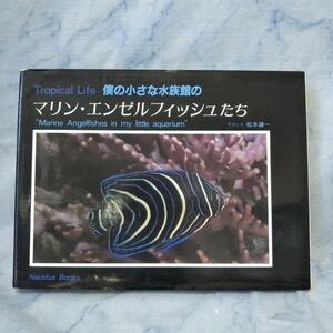 【中古】僕の小さな水族館のマリン・エンゼルフィッシュたち / 松本謙一