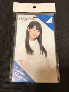 乃木坂46 チケットホルダー 阪口 珠美 他 出品中の商品 スティックライトホルダー 西野 飛鳥 堀 橋本 白石 生田 与田 大園 久保 山本