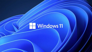 #237　 Windows 11　インストールディスク　非対応機種用も御座います。