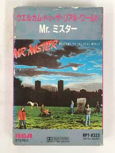 ■□T651 MR.MISTER Mr.ミスター WELCOME TO THE REAL WORLD ウエルカム・トゥ・ザ・リアル・ワールド カセットテープ□■