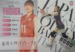 山田二千華　 ５枚　バレーボール女子日本代表2024 　　個人レギュラーコンプ　　　　　　　　　　/ SVリーグ NECレッドロケッツ川崎