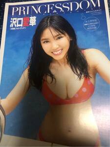 沢口愛華　別冊ヤングチャンピオン写真集 