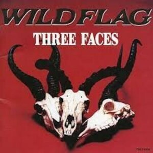 ＊中古CD WILD FLAGワイルド・フラッグ/THREE FACES 1992年作品2nd VOWOWバウワウ 山本恭司 ANTHEM EARTHSHAKER X-RAY LOUDNESS D.T.R