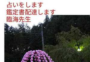 守護霊　対話　陰陽師霊視します祈祷込みでお得鑑定　金運お守りつき