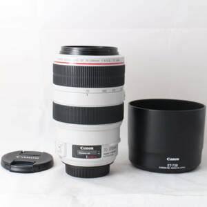 ★美品★ キヤノン Canon 望遠ズームレンズ キヤノン EF70-300mm F4-5.6L IS USM #6819