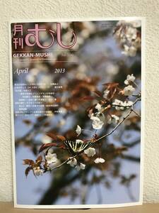 月刊むし 2013年4月号 (No. 506号)