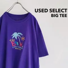 メキシコ製 Vintage Oversized T-shirt (purple)