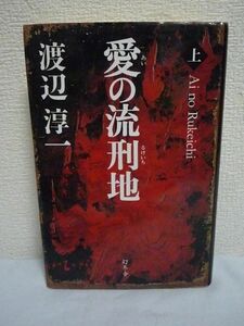 愛の流刑地 上 ★ 渡辺淳一 ◆ 生まれて初めて知った狂おしいほどの性の悦び エクスタシーの頂点で女が男に求めた究極の行為 男女の性愛