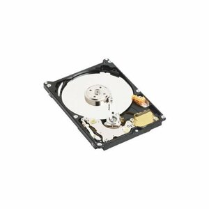 (中古品)WESTERNDIGITAL 【中古HDD】2.5インチ内蔵HDD 80GB WD800BEVE IDE/ATA100 (　(shin