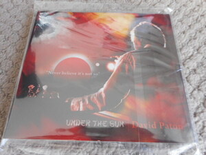 DAVID PATON(デヴィッド・ペイトン)/PILOT"UNDER THE SUN"かなりレアなUK直輸入CD新品、入手困難！