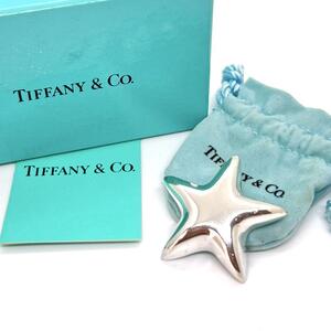 TIFFANY&Co. ティファニー スター シルバー925 レディース ブローチ 星 