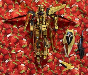 機動戦士ガンダムSEED FREEDOM　RG　1/144　アカツキ（オオワシ装備）完成品