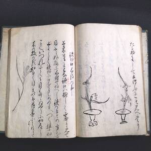 華道 絵入 肉筆 写本【 正風遠州流 百ヶ条 】挿花 活花 伝書 文政5年 古書 古文書 和本 骨董 古美術386