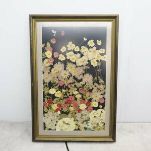 ▽インテリアに!!! 約51.5×76.5×3ｃｍ｜額入り 押し花 ｜ アートフラワー 押花 ヴィンテージ ハンドクラフト 木製額　アクリル■P3326