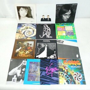 LP 13点セット レコード アナログ Pet Shop Boys・Kate Bush・Tom Verlaine・The Moody Blues・Mike Oldfield・他 中古■DZ842s■