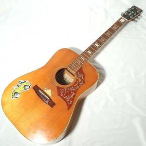 SPLENDOR W-180N アコースティックギター ハミングバードタイプピックガード ZEN-ON SUWA 楽器/160サイズ