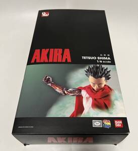 未使用品 メディコムトイ バンダイ PROJECT BM! AKIRA 1/6 島鉄雄 フィギュア