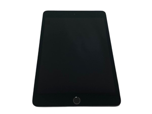 iPad mini 第5世代 Wi-Fi 64GB MUQW2J/A 美品 スペースグレイ