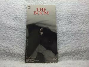 8cmCD/THE BOOM/有罪