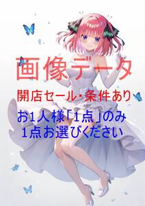 13【画像データ】お一人様一品のみ！注意事項を要確認(世界に1枚) 中野ニ乃　ご等分の花嫁